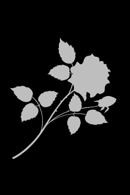 Flower Black, par Xavier E. G. Dierick